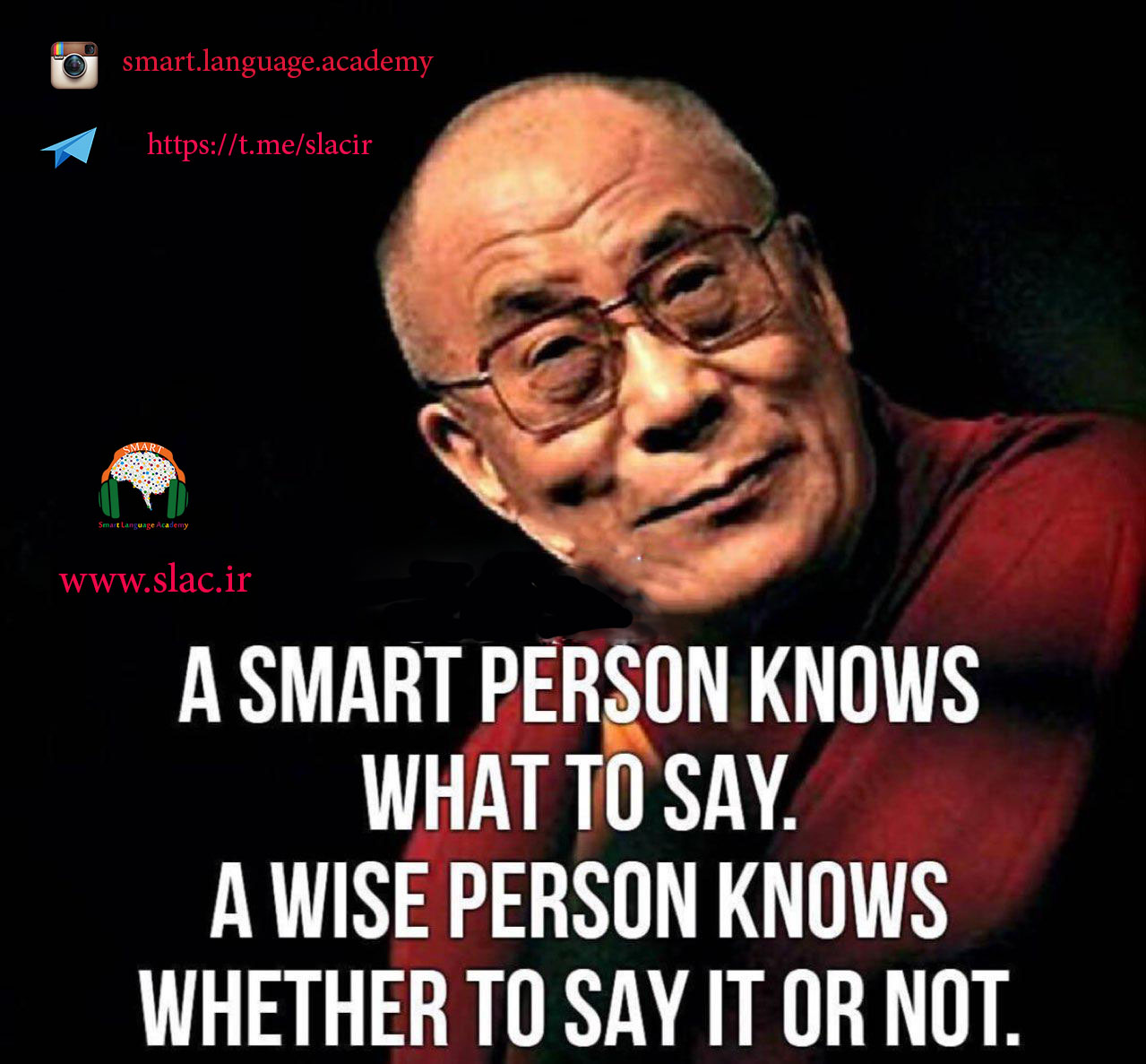 a-smart-person-knows-what-to-say-a-wise-person-knows-whether-to-say